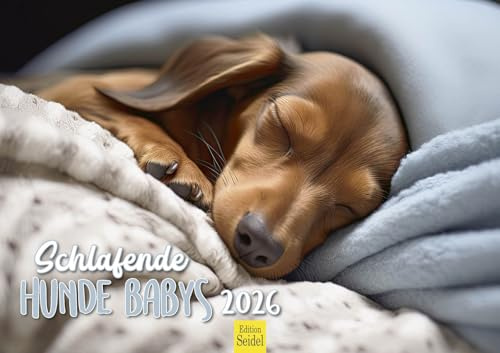 Edition Seidel Premium Kalender Schlafende Hundebabys 2026 Format DIN A3 Wandkalender Hundekalender Hunde Babys Hund Welpe Hunderasse Haustier