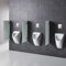 Urinal-Trennwand Satinato aus ESG-Glas
