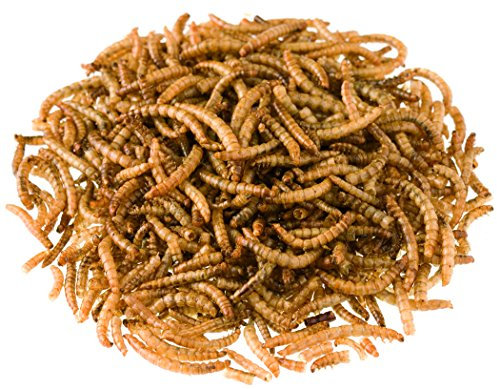 Weiß-Premium Mehlwürmer getrocknet Fischfutter & Vogelfutter 1kg