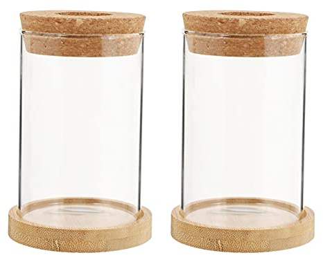 Yardwe Vaso di di propagazione pianta da Tavolo Terrario Stazione di propagazione Acqua piantare Vaso di casa Ufficio Tavolo Decorazione 2pcs