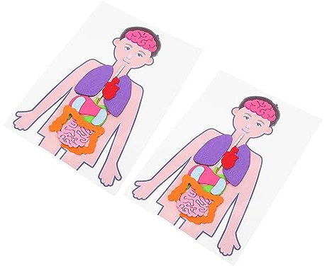 JOINPAYA 2 Sets Menschlicher Körper Kind Spielzeug Puzzle für Jungen und Mädchen Lernen Organe Modell Set