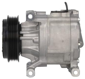 Compressore, aria condizionata DENSO DCP09061