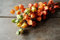NaDeco Physalis in Natur am Zweig, Länge ca. 60-70cm | Lampionblume | Physalis-Zweige | Boho-Deko | Herbstdekoration Trockenblumen | Trockenstrauß | getrockneter Blumenstrauß