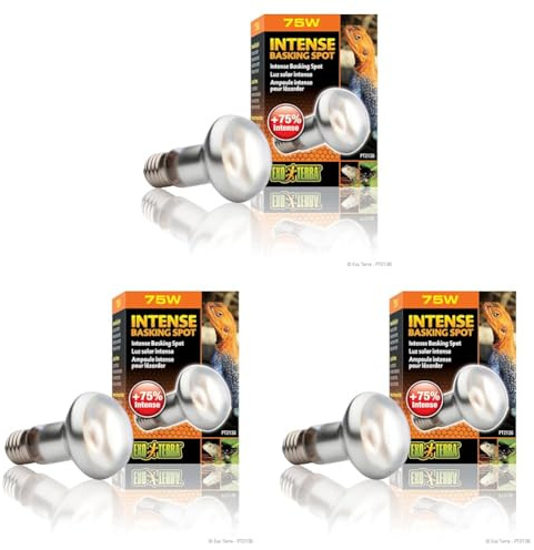 Exo Terra Intense Basking Spot, Wärmespotlampe, R20, 75W, Fassung E27 (Packung mit 3)