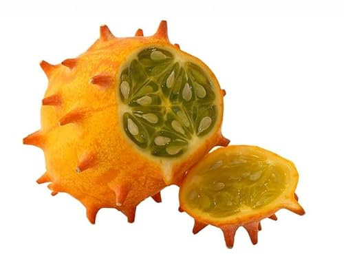10 Kiwano Samen (exotische Horngurke/Hornmelone, Cucumis Metuliferus), frische Saatkörner gesundes Saatgut, Gemüse, Versand aus Deutschland (10)