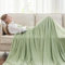 EMME Kühldecke Kühlende Decke,Arc-Chill Q-Max 0.5, 2 in 1 Doppelseitige Dünne Sommerdecke, Leicht Atmungsaktiv Tagesdecken, Sofa Decken,Bettüberwurf Kuscheldecke,127x 177cm,Grün Gestreift