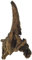 AMTRA Mystic Bois pour Aquariophilie 25-30 cm