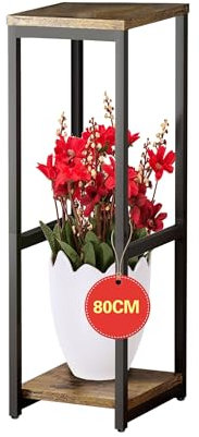 MEEYUU Étagère d'angle moderne à 2 niveaux en métal pour plantes d'intérieur, 80 cm, support carré pour pots de fleurs (2 niveaux, noir)