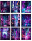 BigWig Prints Neon-Wandkunst – Cyberpunk-Poster, japanische Poster, Neon-Poster, Cyberpunk-Dekor, Vaporwave-Dekor, Synthwave-Dekor, Lofi-Dekor, Tokio-Poster, Cyberpunk-Kunst, ungerahmt, 9er-Set (20,3