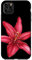 iPhone 11 Pro Max Red Flowers Blooming Tiger Lily Watercolor Floral Lover Case