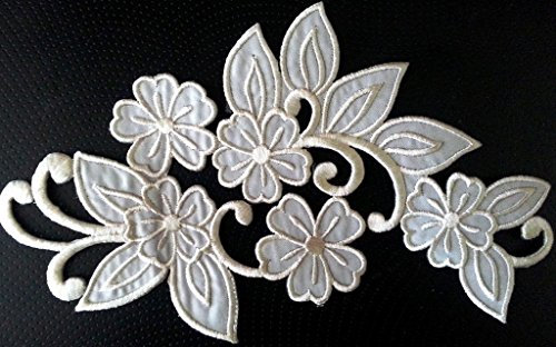Bügel Patch Aufnäher Aufbügler Applikation Floral Edelweiss Blume