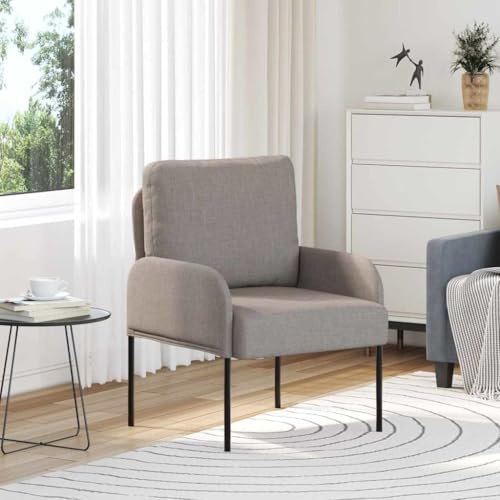SooIarix Modernes Sofa mit Kissen Taupe Sperrholz 55cm Sitzbreite, Lounge Möbel Outdoor, kleines Sofa für Camping und Wohnzimmer, robuste Couch mit Metallbeinen, komfortable Sofas & Couches