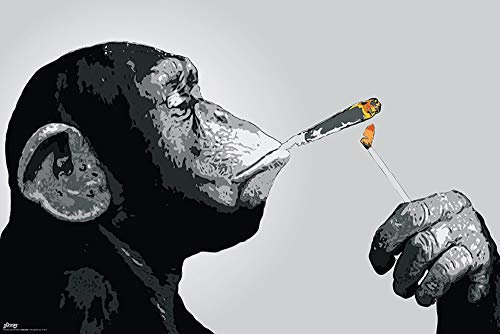 Close Up Steez Poster Monkey Joint Time (91,5cm x 61cm) + Ü-Poster