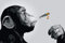 Close Up Steez Poster Monkey Joint Time (91,5cm x 61cm) + Ãœ-Poster