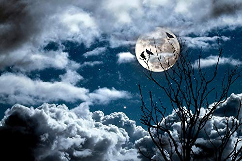 1art1 Gothic XXL Poster Die DREI Raben Bei Vollmond Plakat | Bild 120x80 cm