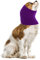 cobee Tour de Cou et d'oreilles pour Chien, Cache-Oreilles pour Chien, Cache-Cou et Oreilles, Cache-Oreilles pour Chien, pour Le Bain, Le toilettage, réduction du Bruit(Violet, L)