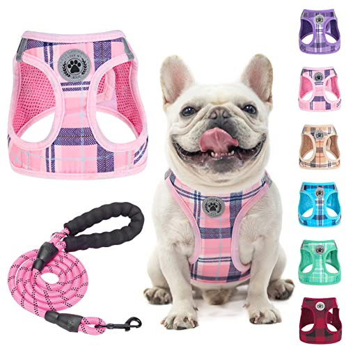BEAUTYZOO Kleines Hundegeschirr und Leine, Set, kein Ersticken, kein Ziehen, weiches Netz-Hundegeschirr, reflektierend für extra kleine/kleine, kariertes Hundegeschirr für XS S Haustiere (Rosa, M)