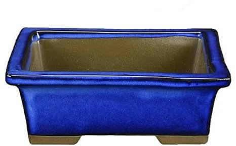 Maceta Rectangular Bonsái Altura 5cm Ancho 10cm y Colores Surtidos