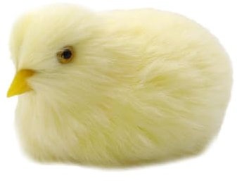 HeeDz Mini Simulation Küken Plüsch Küken Ornament Figur Kinder Ostergeschenke Huhn mit Dekorationen Modell Sound Miniaturgarten