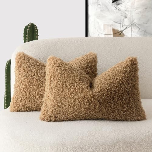 Foindtower Gelockten Teddywolle-Kissenbezüge, dekorativ, Bouclé, strukturiert, Lendenwirbelkissen, Kunstfell, Sherpa-Kissenbezüge, Schaffell, flauschig, für Sofa, Schlafzimmer, Auto, 2er-Set, 30,5 x