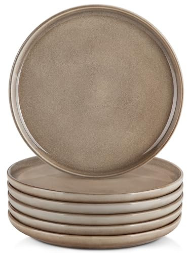 vancasso ANYA Dinner Plates Set of 6, Reactive Glaze 10.25 inch Salad Plates Set for Kitchen, Ceramic Dinnerware Perfect for Dessert, Pasta, Salad, Dishwasher and Microwave Safe, Grey