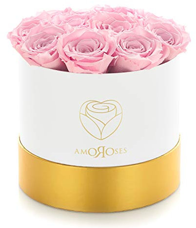 Amoroses 12 echte stabilisierte Rosen halten jahrelang - Konservierte Blumen Geschenkidee, ewige Rosen für besondere Anlässe (Weiße Schachtel mit rosa Rosen)