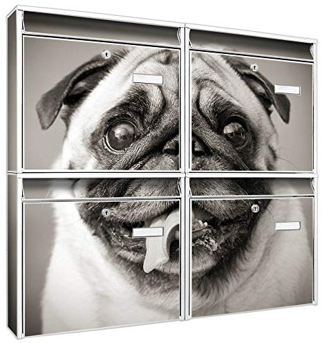 banjado Briefkastenanlage 4 Fach - Postkästen groß - verzinkter Stahl weiß DIN A4 Motiv Mops Porträt - Briefkasten Set 4 Briefkästen Namensschild, 2 Schlüssel, Montagematerial