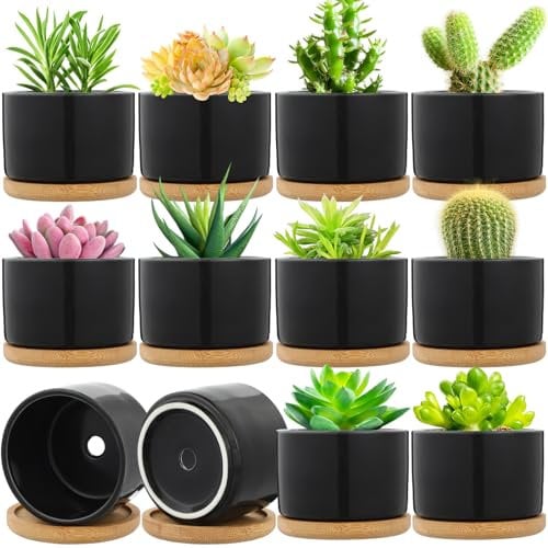 Cindeer Set di 12 vasi per piante grasse, in ceramica, per cactus, con vassoio in bambù, piccolo, cilindrico, con piattino in bambù, per piante da interni ed esterni (nero, 7,6 x 5,5 cm)