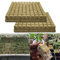 Sliveal 50 Stück Steinwolle Würfel Steinwolle Steinwollmatte Grow Anzucht Anzuchtmatte Bodenloses Kultursubstrat Landwirtschaftliche Stecklinge 25x25x40mm