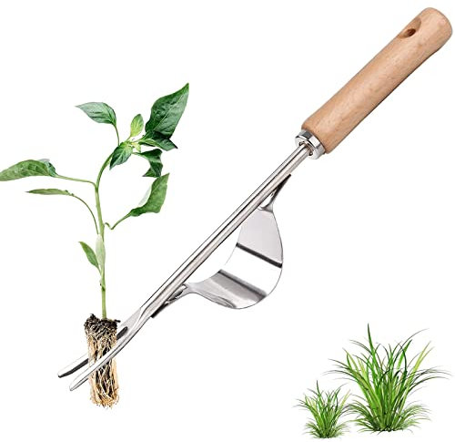 Edelstahl Unkrautstecher,Unkrautjäter Edelstahl,Garten Hand Weeder,Unkraut Jäten Werkzeug für Garten,Garten Manueller Weeder,jäter,Gartenarbeit Gabel mit Naturholzgriff für Graben Jäten Lösen 12,2 in