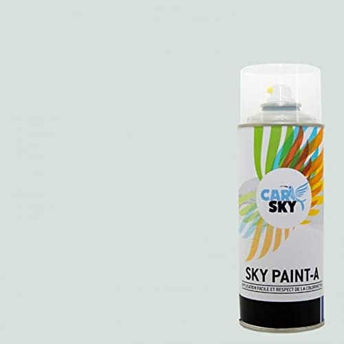 CARSKY Spray vernice compatibile Dacia BIANCO GLACCIAIO 369 e vernice lucida 2x400ml