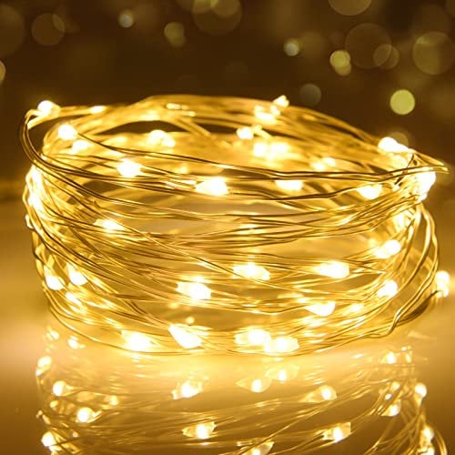 cshare LED Lichterkette, 2M 20 Micro LEDs Lichterketten Silberdraht Batteriebetrieben Wasserdichte Lichter für Party,Garten,Weihnachten,Hochzeit,Zimmer,Halloween Deko(Warmweiß)