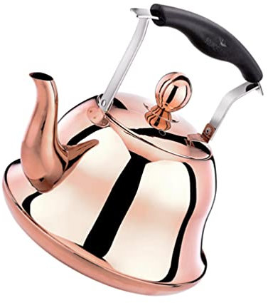 Bouilloire en acier inoxydable, cuisinière à ébullition, percolateur à café, chauffe-eau moderne, tasse à café sifflante, chauffage de voiture, voyage en métal, chaudière à eau électrique en acier i