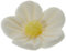 Günthart Essbare kleine Feinzucker Blumen in weiß, 1er Pack (1 x 168 g)