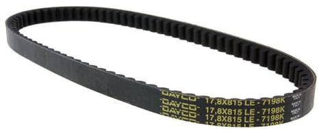 DAYCO 7198 K Keilriemen geriffelt,