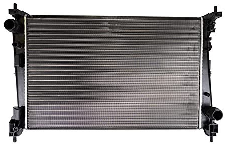 Nissens 61916 Radiatore per Raffreddamento del Motore