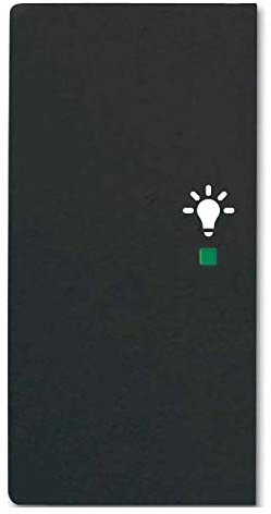 Busch-Jaeger Wippe sw mt 6231-21-885