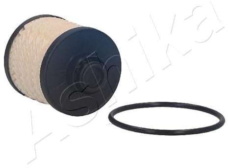 1x ASHIKA CARTUCCIA FILTRO 30-ECO040