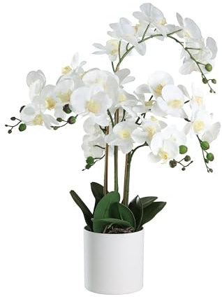 EGLO LIVING Kunstpflanze Hyuga, künstliche Zimmerpflanze im Topf, naturgetreue Deko Pflanze für Wohnzimmer, Orchidee aus Kunststoff in Weiß, 65 cm