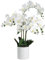 EGLO LIVING Kunstpflanze Hyuga, künstliche Zimmerpflanze im Topf, naturgetreue Deko Pflanze für Wohnzimmer, Orchidee aus Kunststoff in Weiß, 65 cm
