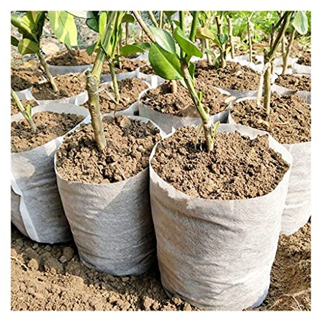100 Stück Pflanzsäcke Aus Vliesstoff, Biologisch Abbaubare Baumschultaschen, Stoff-Wachstumsbeutel, Baumschultöpfe, For Gartensämlinge, Pflanztöpfe, Indoor-Stoff-Wachstumsbeutel ( Size : 18x20cm(100pc