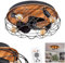 LED Deckenventilator Tourais, Ventilator aus Metall/MDF in Schwarz/Holzoptik, Deckenleuchte im Retro/Vintage-Design in Gitter-Optik, Lichteffekt u. Fernbedienung, Wohnzimmer, Schlafzimmer, Esszimmer