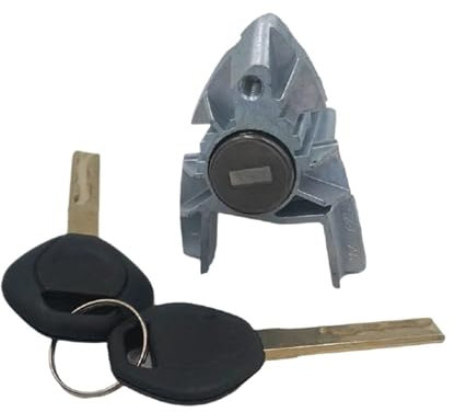 ALZZTUND Serrure De Porte pour BMW X5 E53 2000-2006 Ensemble de Barillet de Serrure de Porte de Voiture côté conducteur Gauche avec 2 clés 51217035421 Verrouillage De Porte