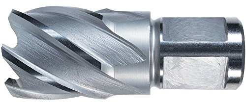 Alfra 1907012025 Kernbohrer aus HSS-Co5, Stahl, 12/30 mm