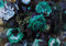 Forwall Fototapete Blumen Retro türkis Pfingstrosen Vintage Dunkel Wohnzimmer Schlafzimmer Vlies Tapete Wandtapete UV-Beständig Hohe Auflösung Montagefertig (13532, V8 (368x254 cm) 4 Bahnen)
