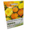 Calendula Winter Sun Seeds in Pictorial Packet from UK Seller