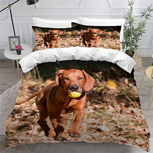 AOYNP Bettwäsche 135x200 Rhodesian Ridgeback Bettbezug Set 3 teilig Weich Microfaser Bettwaren Süß Tier Hund Bettwäsche-Set für Kinder Teenager ReißVerschluss Bettbezug Mit 2 Kissenbezug 80x80cm
