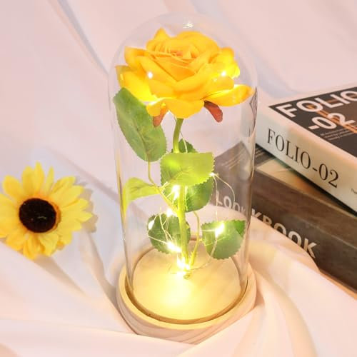 DEEMEI Cadeau d'anniversaire pour femme, maman, elle, roses éternelles de la part de sa fille, fils, rose en cristal galaxie, cadeau d'anniversaire de mariage, rose lumineuse dans un dôme en verre
