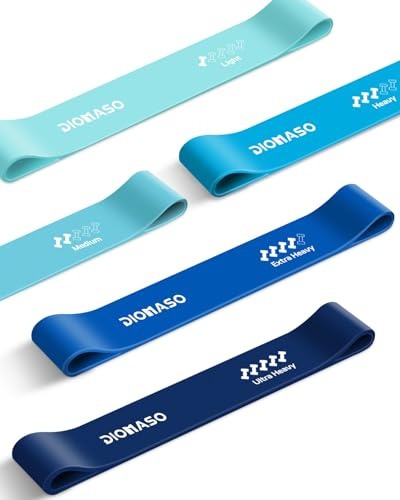 DIOMASO Fitnessbänder 5er Set in Exklusiv-Farbe, Hochwertige Widerstandsbänder (5 Stärken) mit Tasche, Resistance Bands für Training, Yoga, Muskelaufbau(Blau)