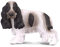 CollectA English Cocker Spaniel by Collecta